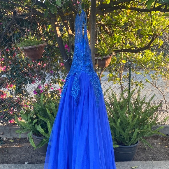 Royal Blue Lace & Tulle Floor-Length Ball Gown with Built-In Petticoat - Picture 12 of 17